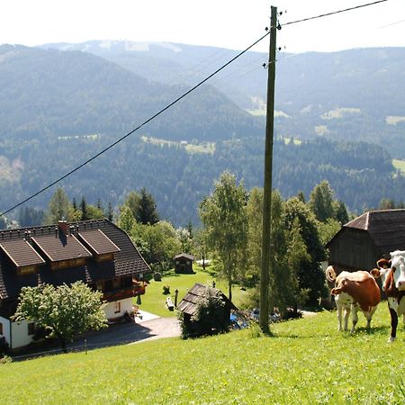 Ferienwohnung Lahnerhof Arriach Bagian luar foto