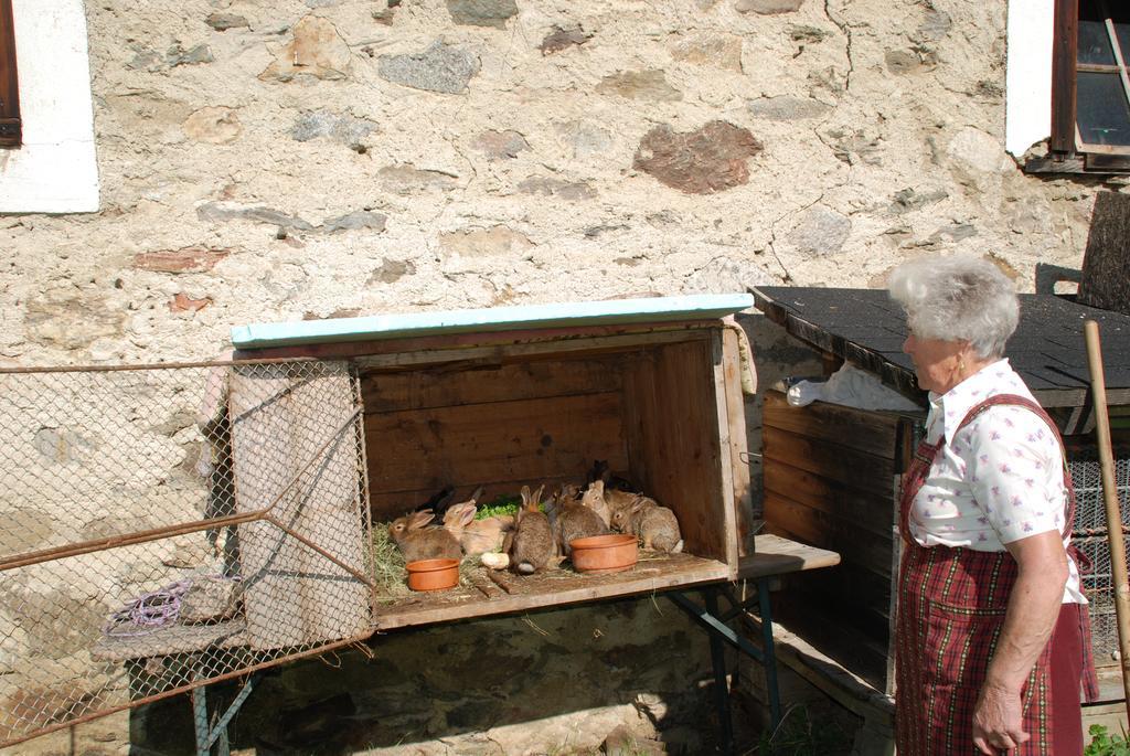 Ferienwohnung Lahnerhof Arriach Bagian luar foto