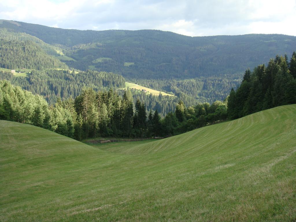Ferienwohnung Lahnerhof Arriach Bagian luar foto