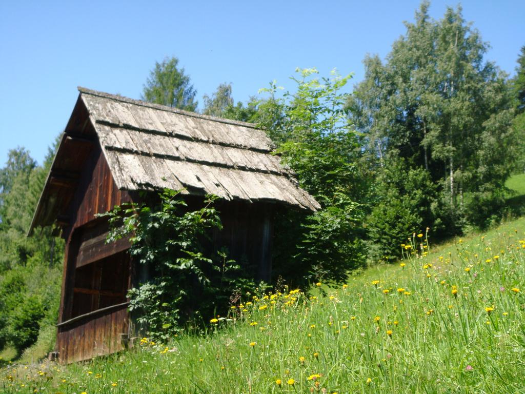 Ferienwohnung Lahnerhof Arriach Bagian luar foto