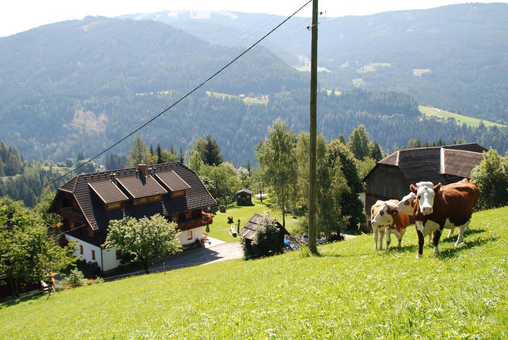 Ferienwohnung Lahnerhof Arriach Bagian luar foto